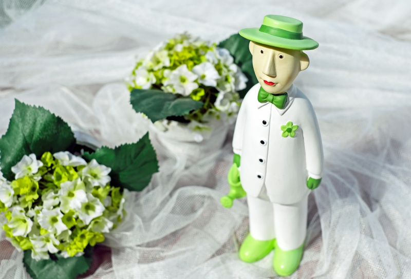 boutique-CARQUEIRANNE-min_man-person-flower-green-toy-fig-546529-pxhere.com